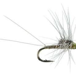 Jon Sheets Sheets' Quill Stacker - Olive