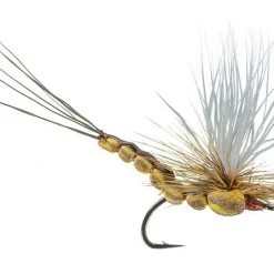 Ed McCoy Fly Fishing McCoy's All Day Dun - Brown Drake