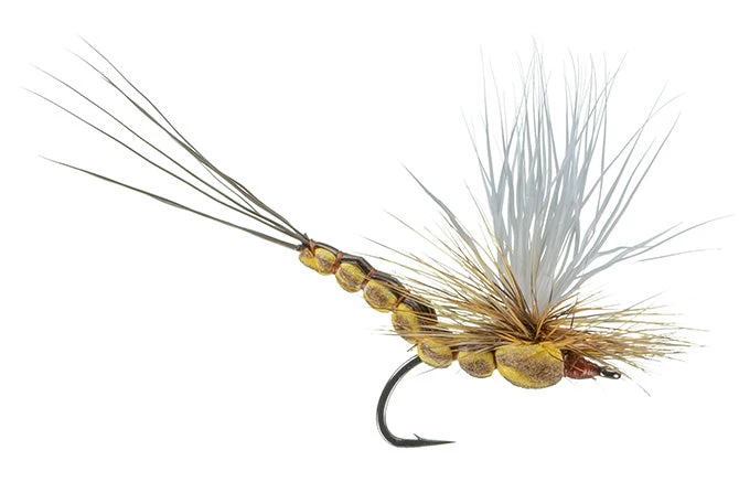 Ed McCoy Fly Fishing McCoy's All Day Dun - Brown Drake 1 Ed McCoy Fly Fishing McCoy's All Day Dun - Brown Drake