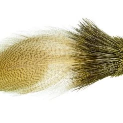 Montana Fly Company Fly Fishing Galloup's Zoo Cougar Olive