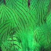 Hareline Dubbin, Inc. Strung Silver Pheasant Body Feathers Fly Tying