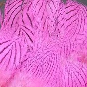 Hareline Dubbin, Inc. Strung Silver Pheasant Body Feathers Fly Tying 4 Hareline Dubbin, Inc. Strung Silver Pheasant Body Feathers Fly Tying