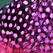Hareline Dubbin, Inc. Strung Guinea Feathers 4 Hareline Dubbin, Inc. Strung Guinea Feathers
