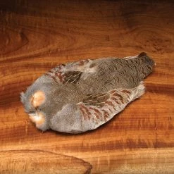 Hareline Dubbin, Inc. Fly Tying Grade 1 Hungarian Partridge Skin Natural