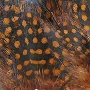 Hareline Dubbin, Inc. Strung Guinea Feathers 11 Hareline Dubbin, Inc. Strung Guinea Feathers