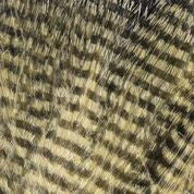 Hareline Dubbin, Inc. Fly Tying Fine Black Barred Marabou 9 Hareline Dubbin, Inc. Fly Tying Fine Black Barred Marabou