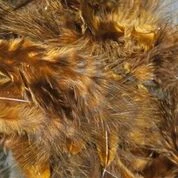 Hareline Dubbin, Inc. Natural Grizzly Mini Marabou 9 Hareline Dubbin, Inc. Natural Grizzly Mini Marabou