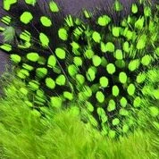 Hareline Dubbin, Inc. Strung Guinea Feathers 16 Hareline Dubbin, Inc. Strung Guinea Feathers