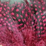 Hareline Dubbin, Inc. Strung Guinea Feathers 18 Hareline Dubbin, Inc. Strung Guinea Feathers