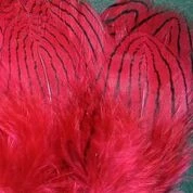 Hareline Dubbin, Inc. Strung Silver Pheasant Body Feathers Fly Tying 13 Hareline Dubbin, Inc. Strung Silver Pheasant Body Feathers Fly Tying