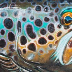 Derek DeYoung Brown Trout Abstract Decal