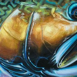 Derek DeYoung Brook Trout Abstract Decal Tools & Accessories