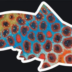 Derek DeYoung Tools & Accessories Brown Trout Flank Blue Decal