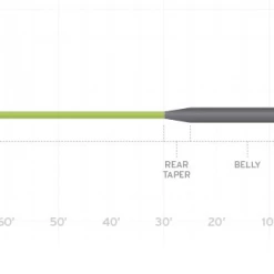 Scientific Anglers Sonar Musky Fly Fishing