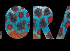 Derek DeYoung DeYoung Colorado Brown Trout Bumper Sticker Tools & Accessories