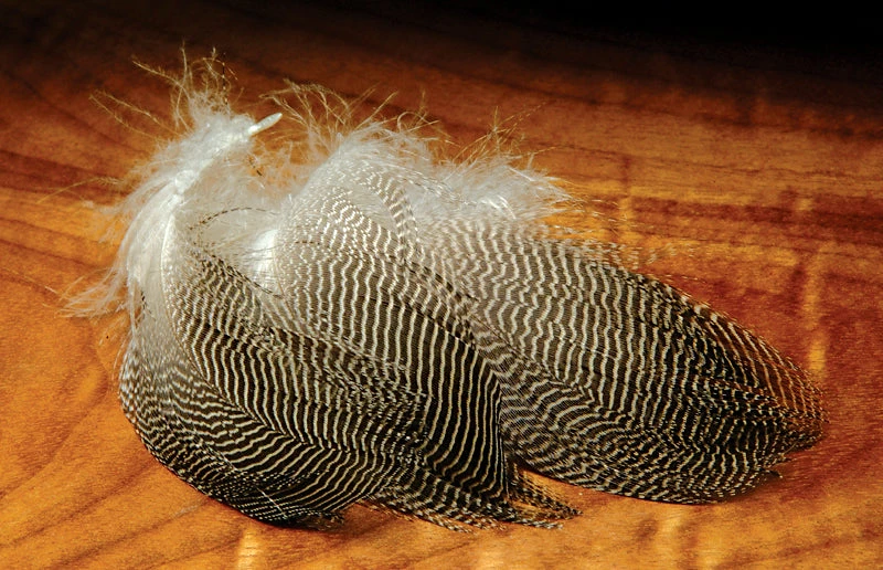 Hareline Dubbin, Inc. Gadwall Feathers 1 Hareline Dubbin, Inc. Gadwall Feathers