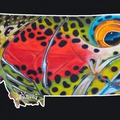 Derek DeYoung Montana Royal Rainbow Decal