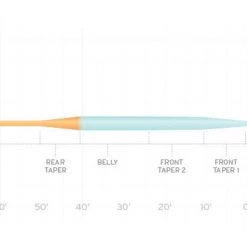Scientific Anglers Fly Line Mastery Great Lakes Switch