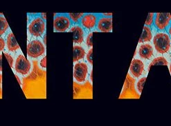 Derek DeYoung Montana State Brown Flank Decal Tools & Accessories