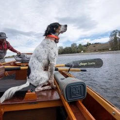 Fishpond Thunderhead Rod And Reel Case