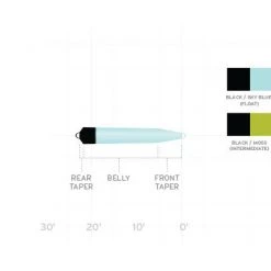 Scientific Anglers Skagit Intermediate Fly Line