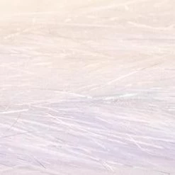 R Distribution Translucy Fly Brush