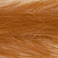 R Distribution Translucy Fly Brush