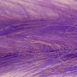 R Distribution Translucy Fly Brush