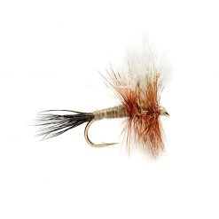 Nomad Anglers Fly Fishing ADAMS WULFF