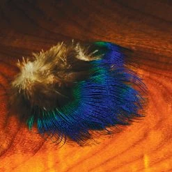 Hareline Dubbin, Inc. Blue Peacock Neck Feathers