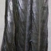 Hareline Dubbin, Inc. Fly Tying Dyed Ringneck Pheasant Tail Clump 2 Hareline Dubbin, Inc. Fly Tying Dyed Ringneck Pheasant Tail Clump