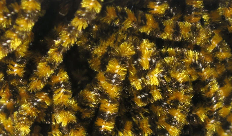 Hareline Dubbin, Inc. Fly Fish Food Small Stonefly Chenille Fly Tying 3 Hareline Dubbin, Inc. Fly Fish Food Small Stonefly Chenille Fly Tying