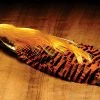 Hareline Dubbin, Inc. Fly Tying Golden Pheasant Complete Head