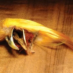 Hareline Dubbin, Inc. Golden Pheasant Complete Crest