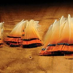 Hareline Dubbin, Inc. Golden Pheasant Tippets Medium