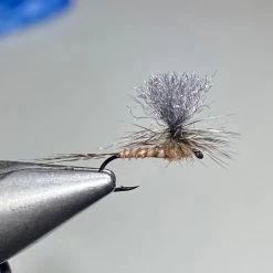 Nomad Anglers Hendrickson Biot Dun Fly Fishing