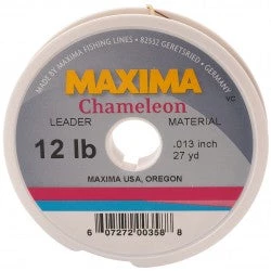 Maxima Chameleon 1 Maxima Chameleon