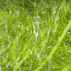 Hareline Dubbin, Inc. UV Polar Chenille 26 Hareline Dubbin, Inc. UV Polar Chenille