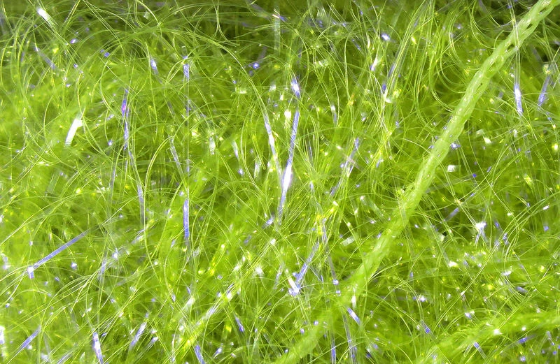 Hareline Dubbin, Inc. UV Polar Chenille 6 Hareline Dubbin, Inc. UV Polar Chenille