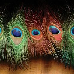Hareline Dubbin, Inc. Fly Tying Peacock Eyed Sticks