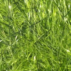 Hareline Dubbin, Inc. Fly Tying Polar Reflector Flash 19 Hareline Dubbin, Inc. Fly Tying Polar Reflector Flash