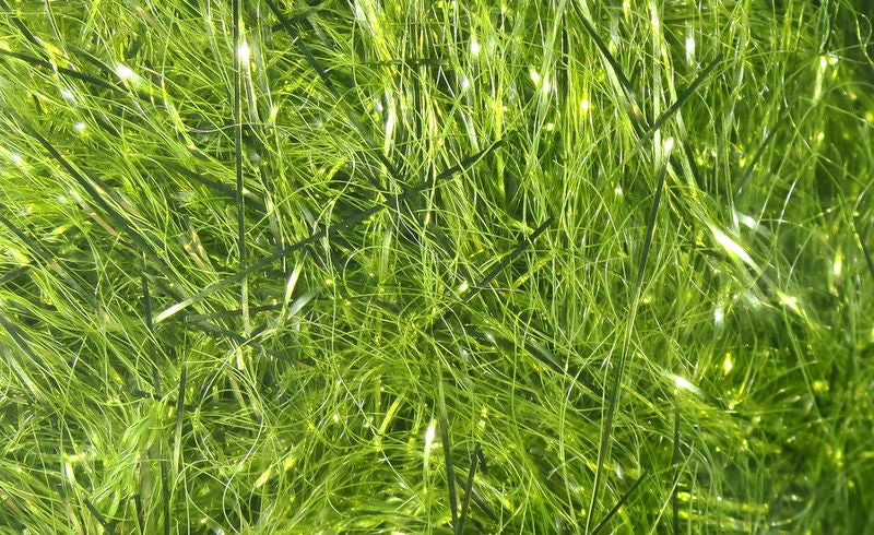 Hareline Dubbin, Inc. Fly Tying Polar Reflector Flash 3 Hareline Dubbin, Inc. Fly Tying Polar Reflector Flash