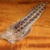 Hareline Dubbin, Inc. Ringneck Hen Pheasant Tail Clump Fly Tying