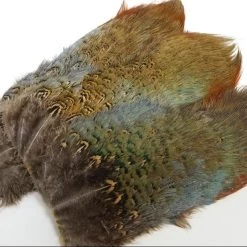 Nature's Spirit Fish Hunter Ringneck Pheasant Rump Patch