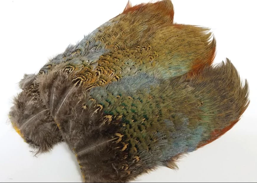 Nature's Spirit Fish Hunter Ringneck Pheasant Rump Patch 1 Nature's Spirit Fish Hunter Ringneck Pheasant Rump Patch