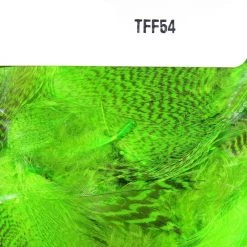 Hareline Dubbin, Inc. Teal Flank Feathers