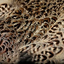 Hareline Dubbin, Inc. Hen Pheasant Skin Fly Tying