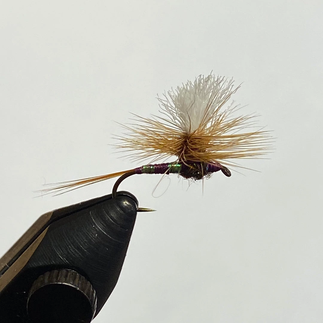 Nomad Anglers Fly Fishing Purple Patriot 1 Nomad Anglers Fly Fishing Purple Patriot