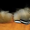 Hareline Dubbin, Inc. Fly Tying Barred Woodduck Flank
