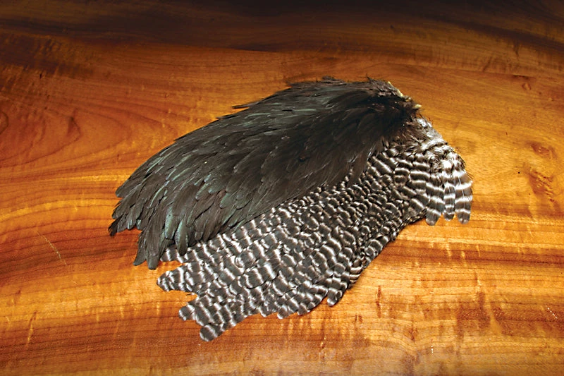 Grade #1 Metz Hen Saddle Fly Tying 1 Grade #1 Metz Hen Saddle Fly Tying